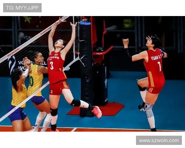 南京排球队技术分析与发展策略探讨聚焦排球运动的未来与挑战